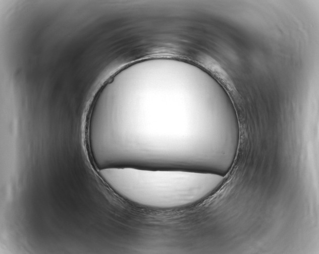 X0000093751427200710160801