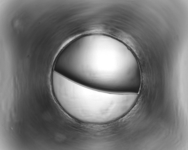 X0000093751428200710160801