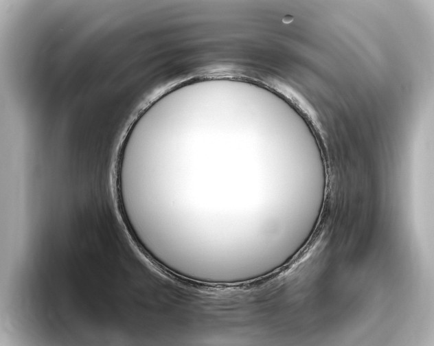 X0000093751429200710160801