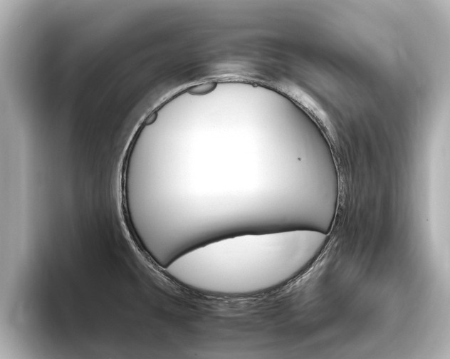 X0000093751431200710160801
