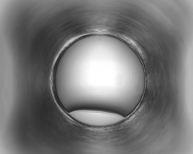 X0000093751432200710160801
