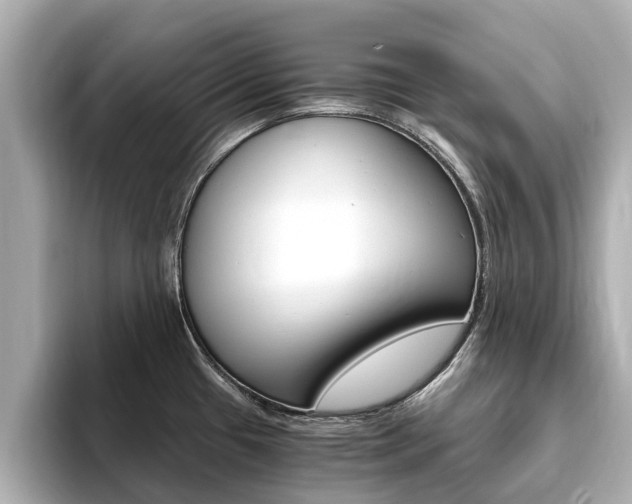 X0000093751433200710160801