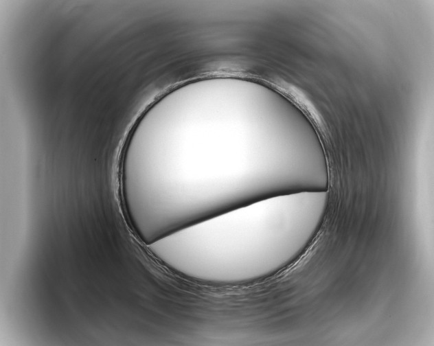 X0000093751435200710160801