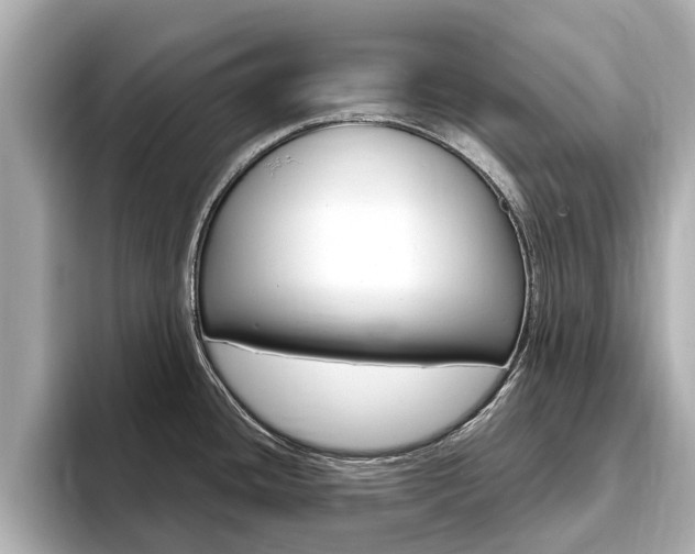 X0000093751436200710160801