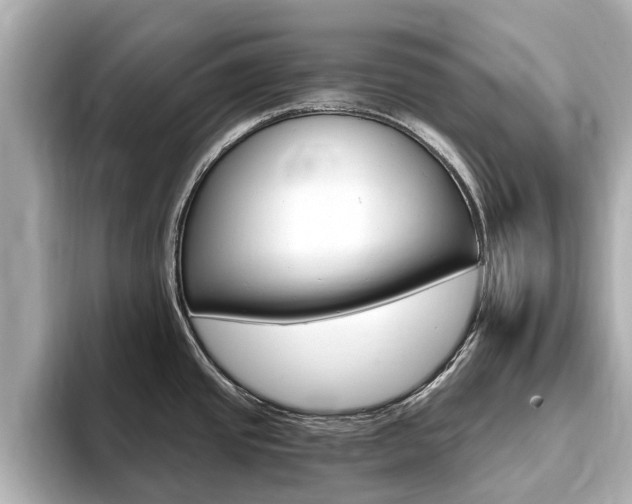 X0000093751437200710160801