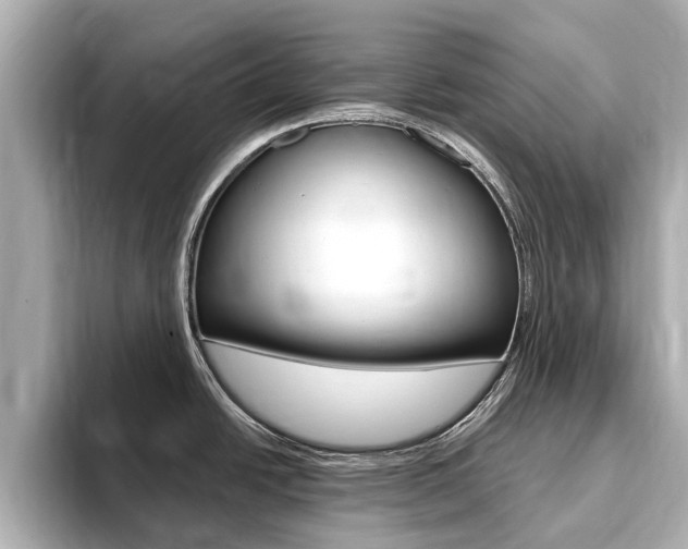 X0000093751438200710160801