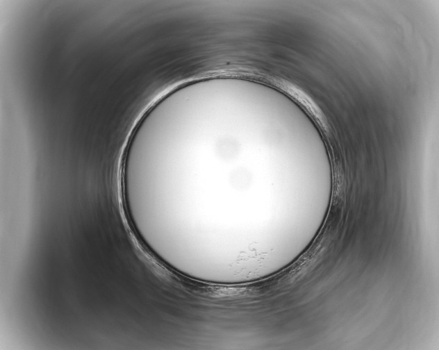 X0000093751439200710160801