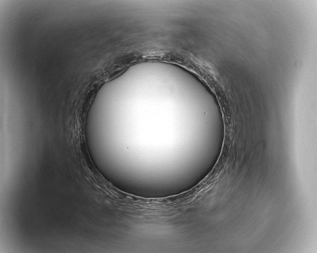X0000093751445200710160800