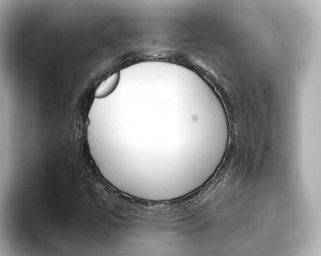 X0000093751447200710160800