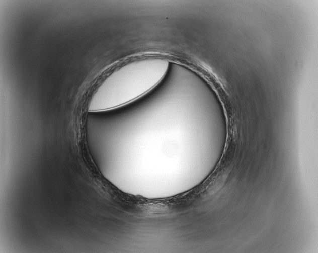 X0000093751448200710160800