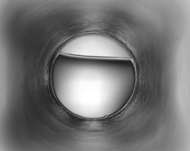 X0000093751450200710160800