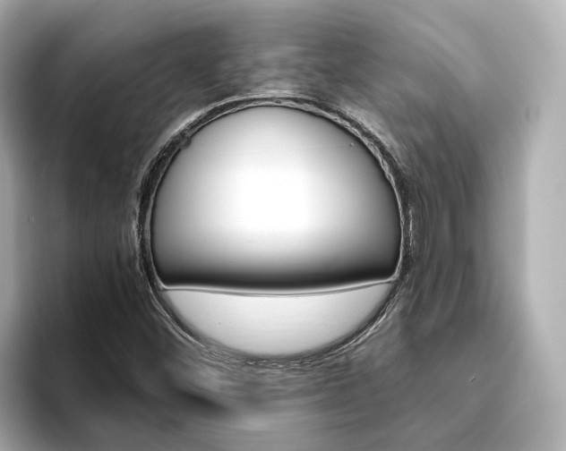 X0000093751452200710160800