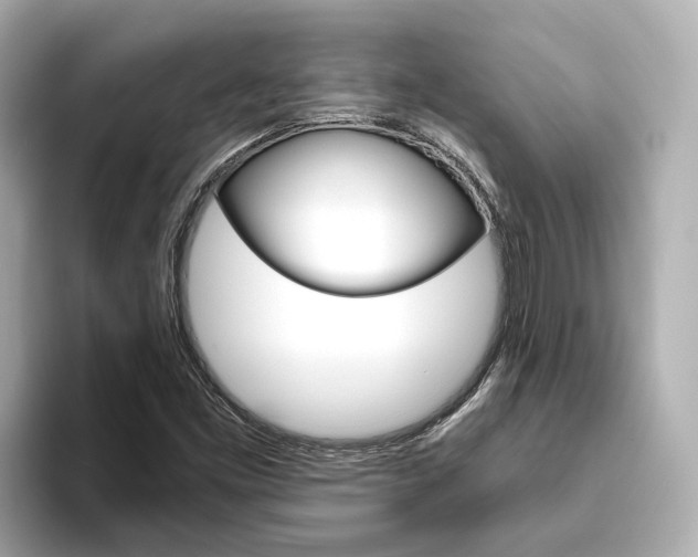 X0000093751453200710160800