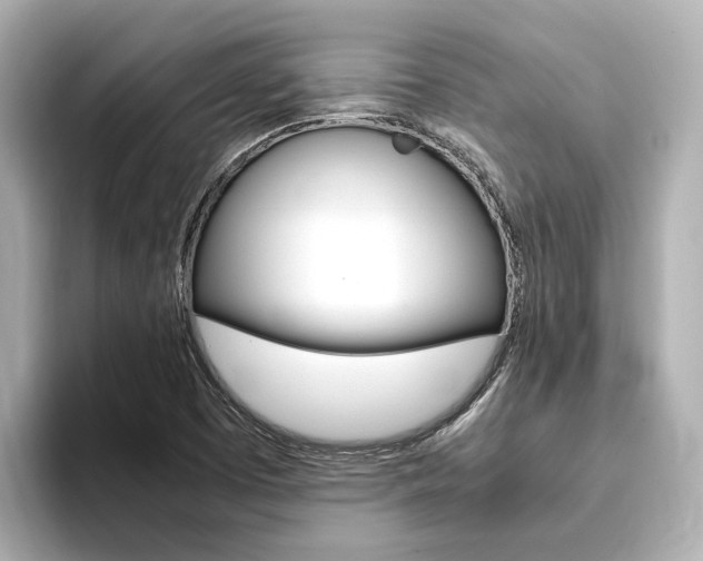 X0000093751457200710160800