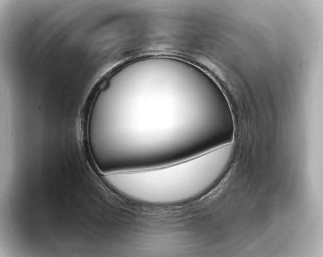 X0000093751458200710160800