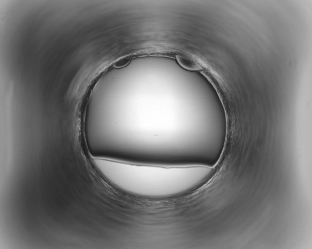 X0000093751459200710160800