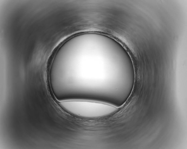 X0000093751460200710160800