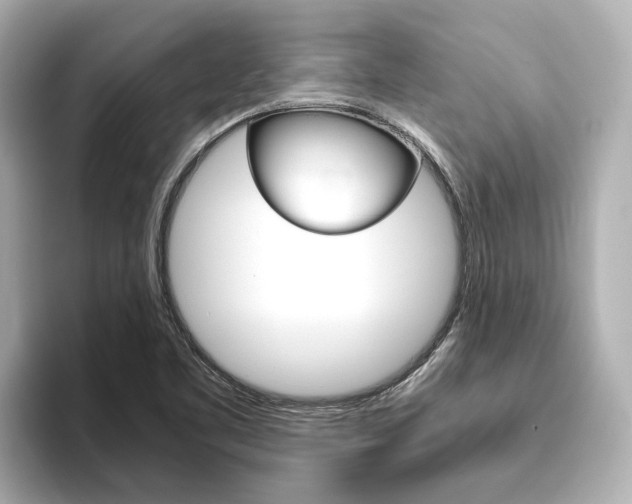 X0000093751461200710160800