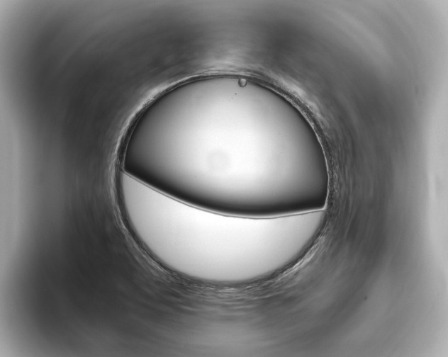 X0000093751463200710160800