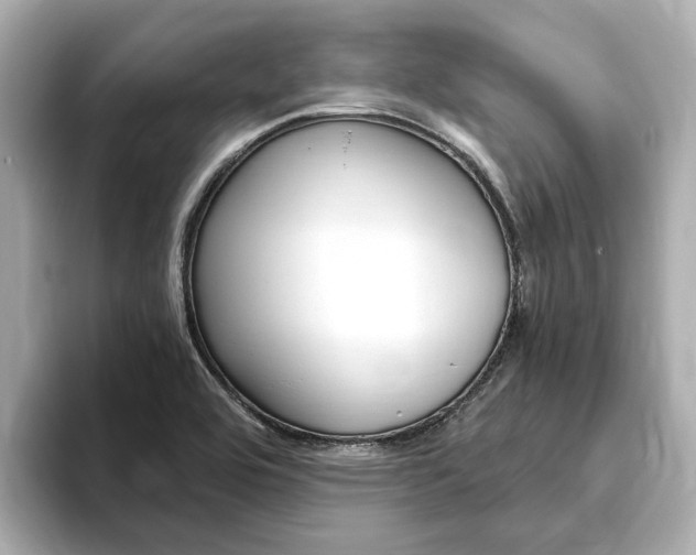 X0000093751464200710160800