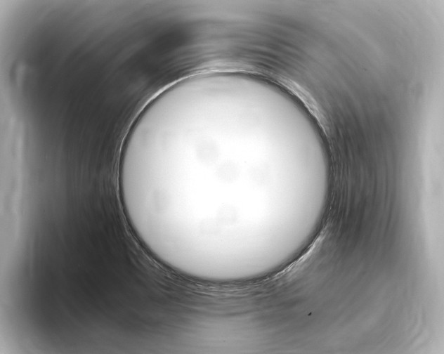 X0000093751465200710160800
