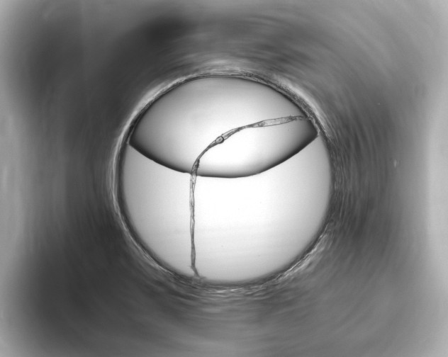 X0000093751467200710160800