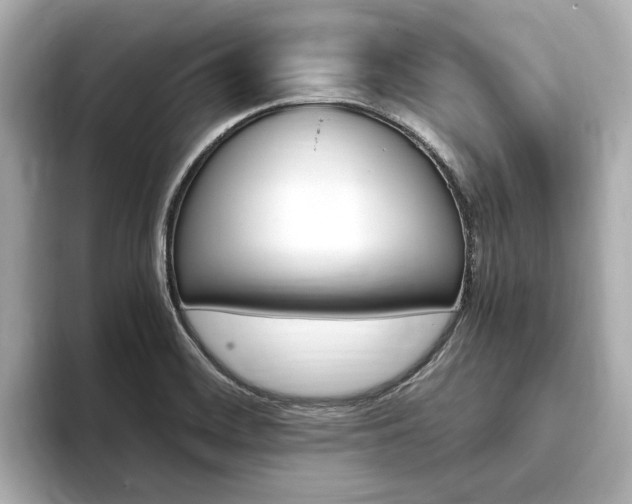 X0000093751468200710160800