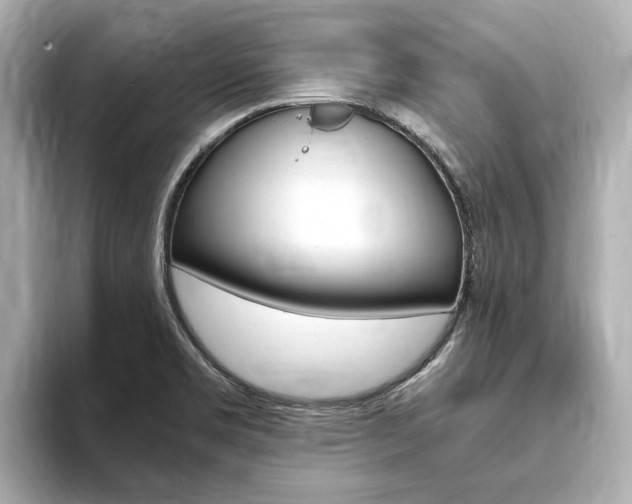 X0000093751469200710160800