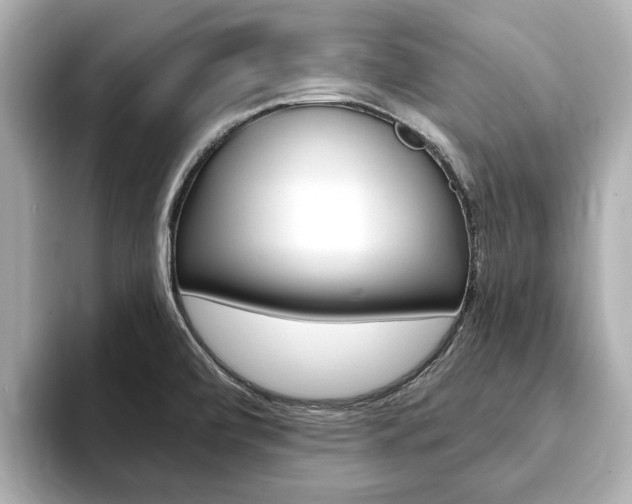 X0000093751472200710160800