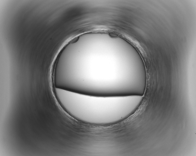 X0000093751475200710160800