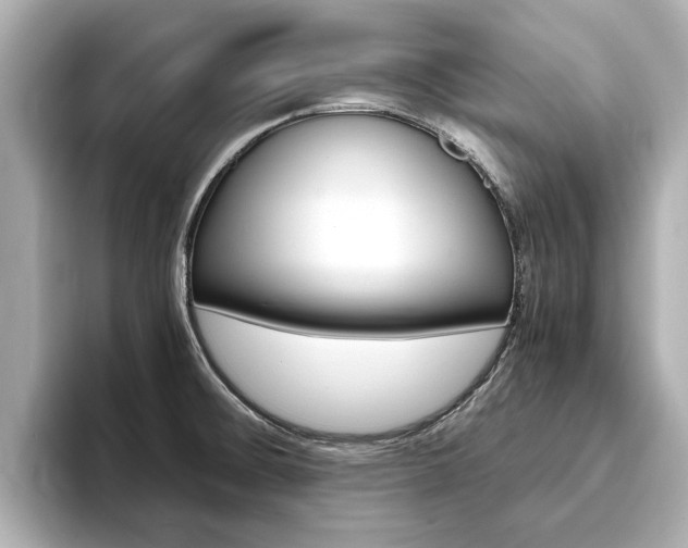 X0000093751476200710160800