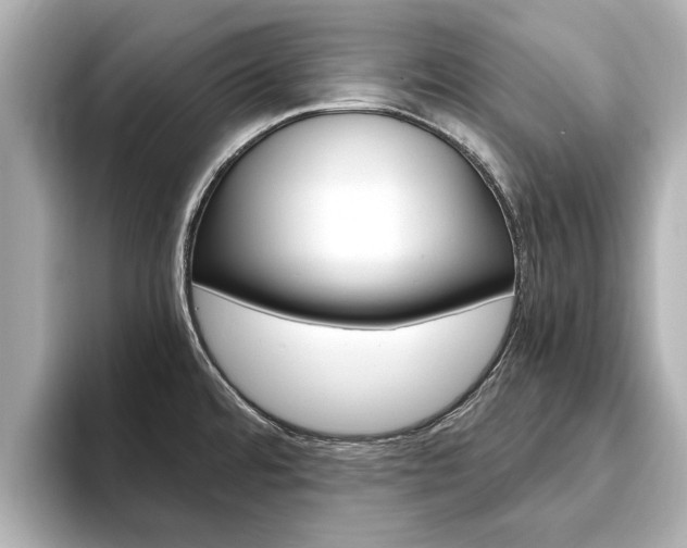 X0000093751480200710160800