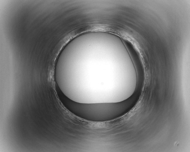 X0000093751481200710160800
