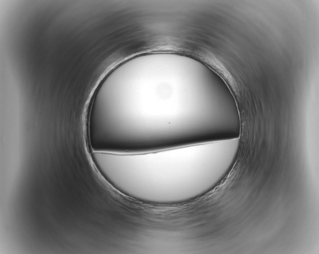 X0000093751483200710160800