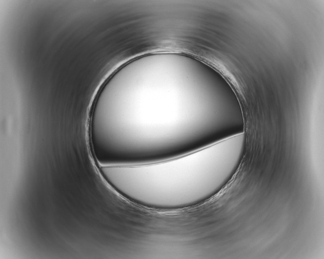 X0000093751484200710160800