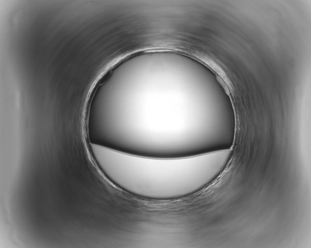 X0000093751485200710160800