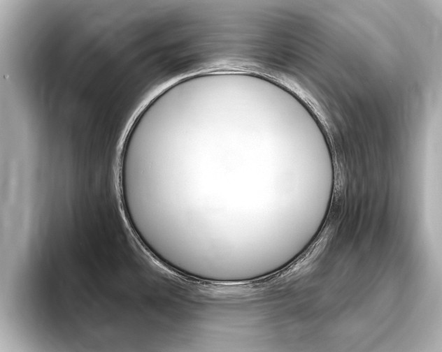 X0000093751486200710160800