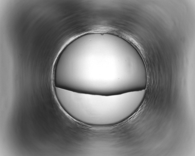 X0000093751487200710160800