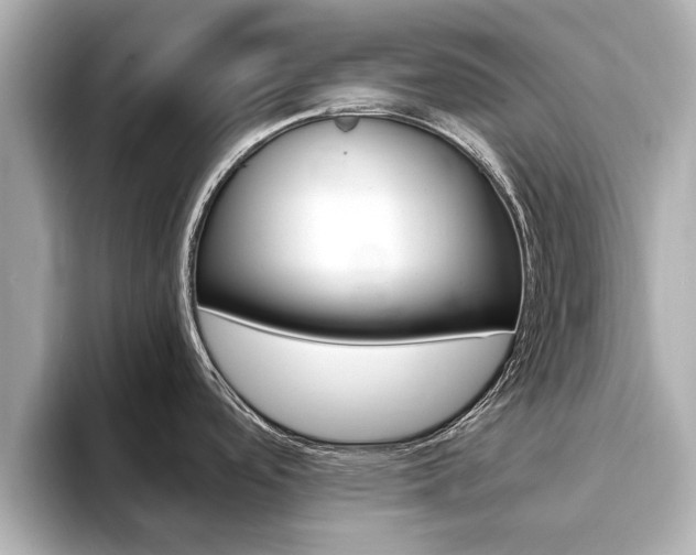 X0000093751488200710160800
