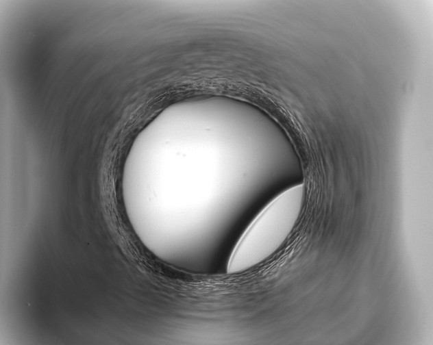 X0000093751489200710160759