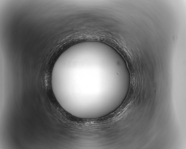X0000093751490200710160759