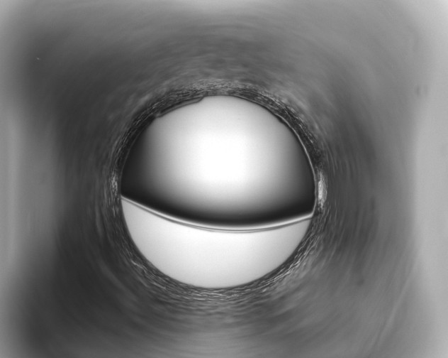 X0000093751492200710160759