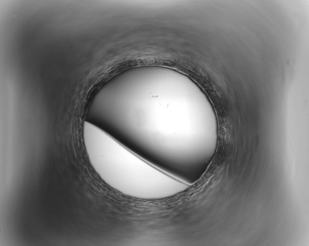 X0000093751493200710160759