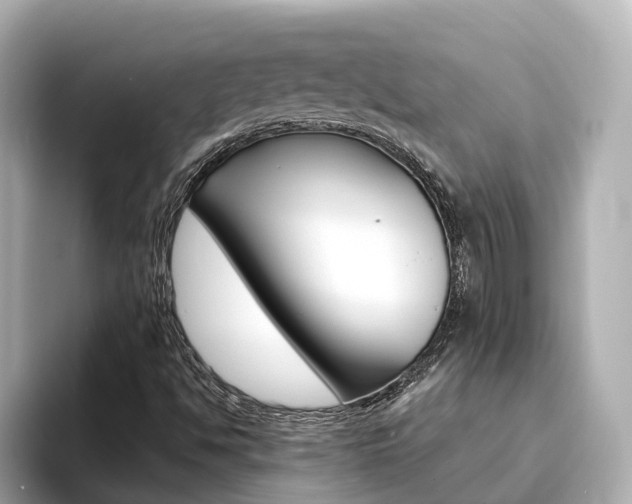 X0000093751494200710160759