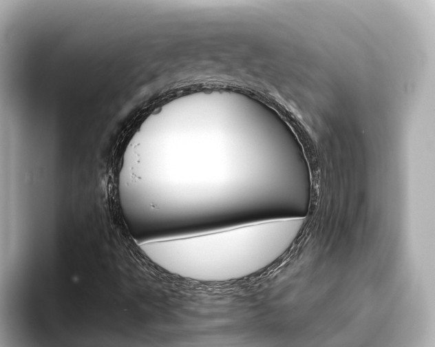 X0000093751495200710160759