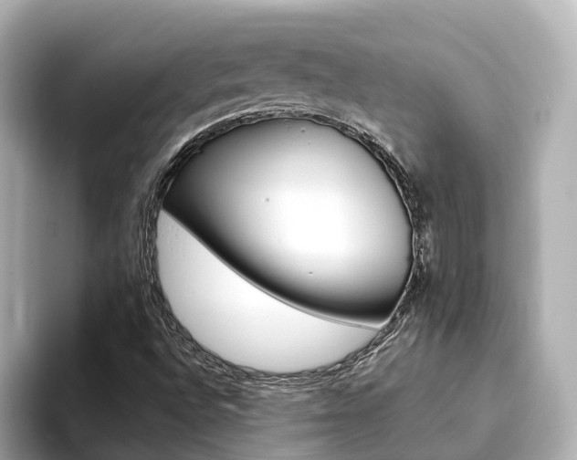 X0000093751496200710160759