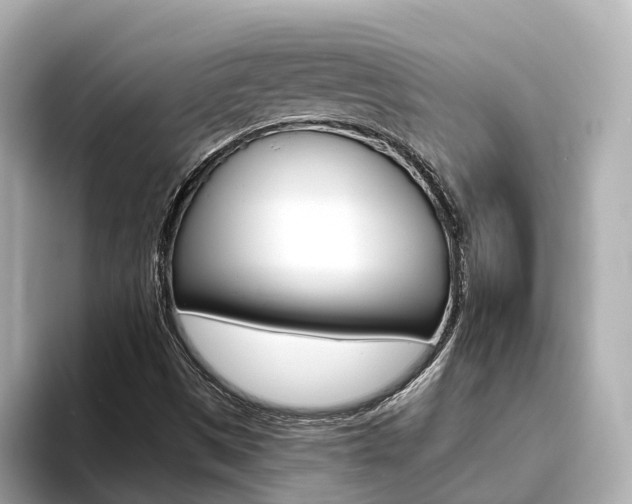 X0000093751497200710160759