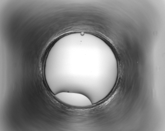 X0000093751498200710160759
