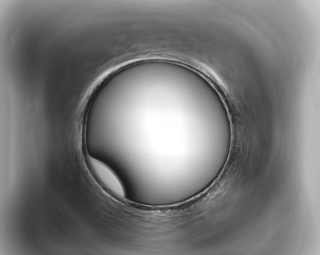 X0000093751504200710160800