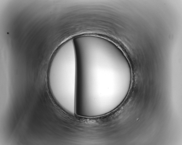 X0000093751505200710160800